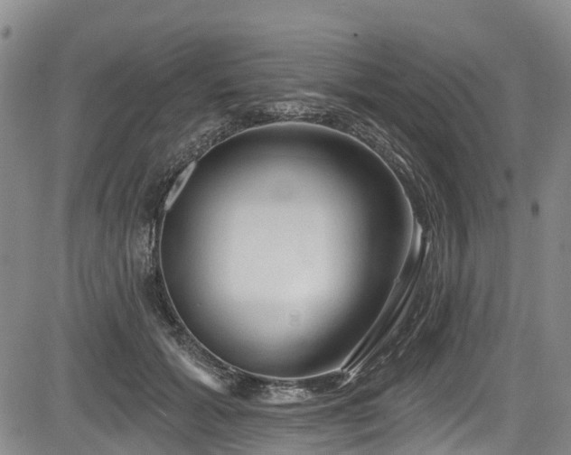 X0000084050605200702161509