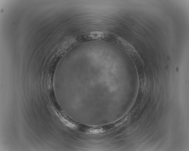 X0000084050606200702161509