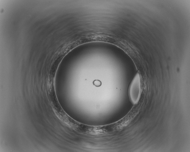 X0000084050607200702161509