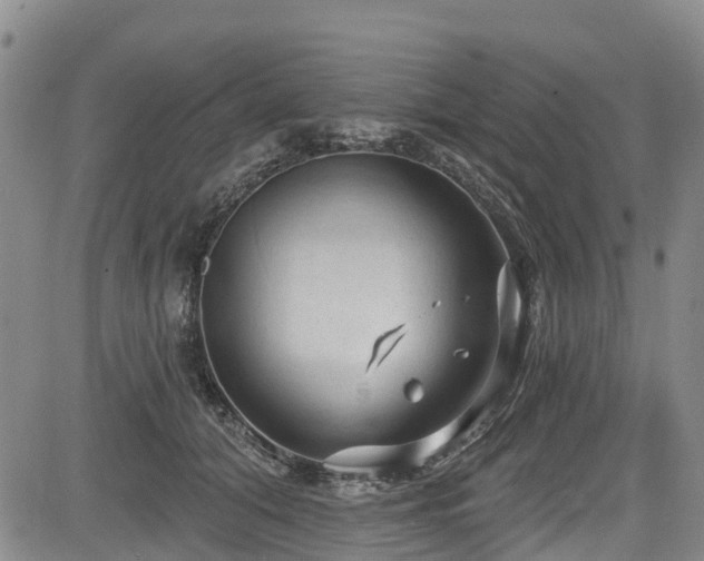 X0000084050608200702161509