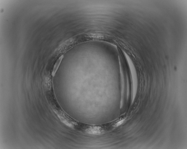 X0000084050609200702161509