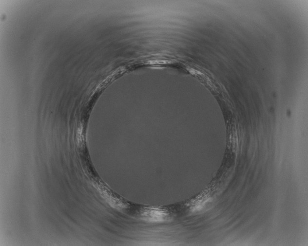 X0000084050610200702161509