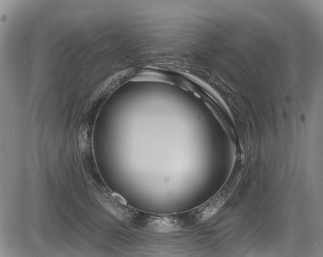 X0000084050611200702161508