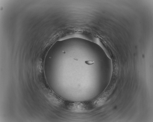 X0000084050612200702161508