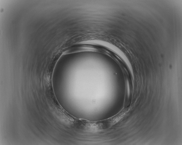 X0000084050613200702161508