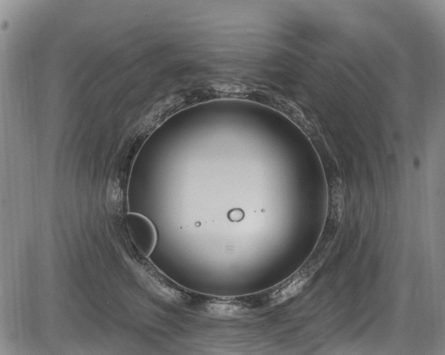 X0000084050614200702161508