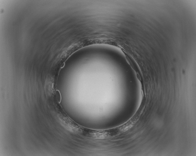 X0000084050615200702161508