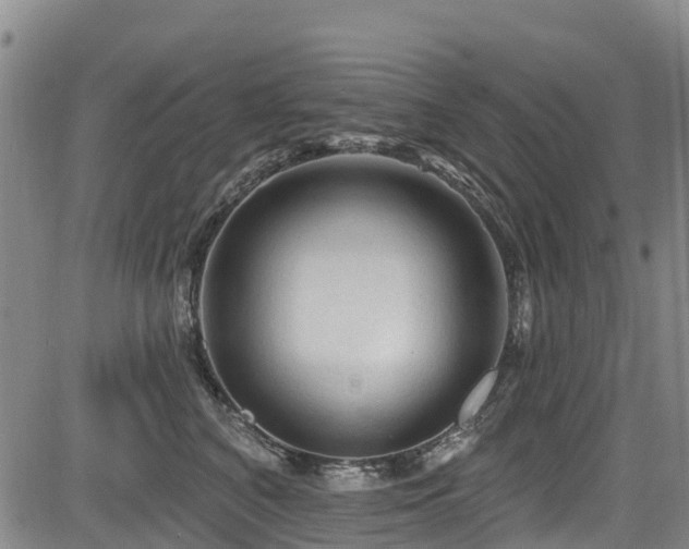 X0000084050616200702161508