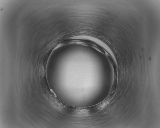 X0000084050617200702161508