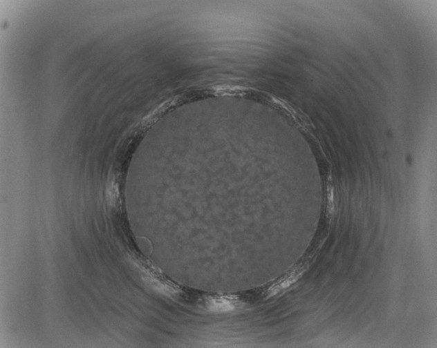 X0000084050618200702161508