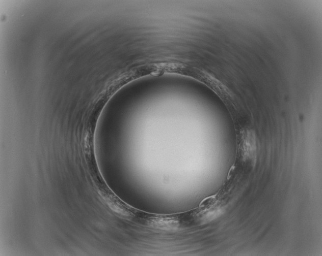 X0000084050619200702161508