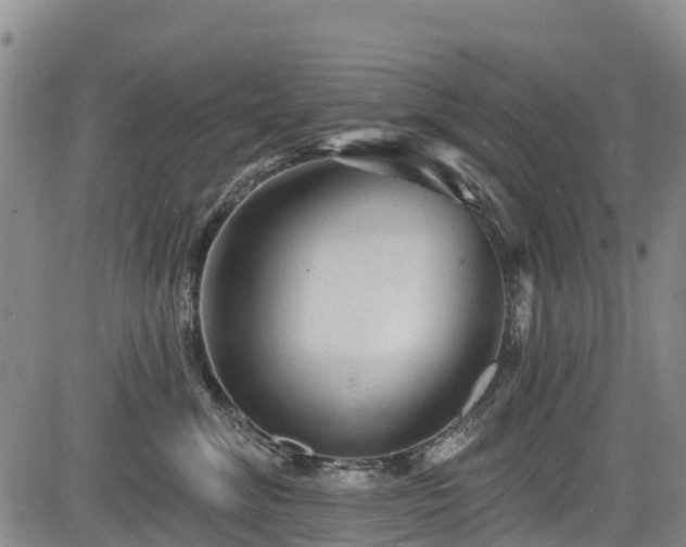 X0000084050620200702161508