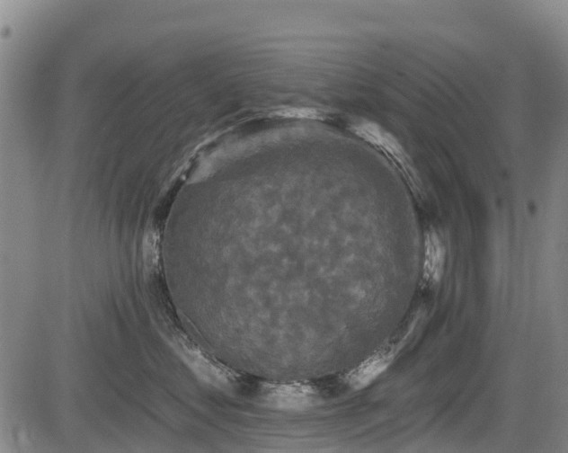 X0000084050621200702161508