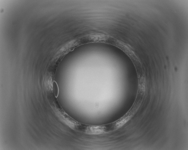 X0000084050622200702161508