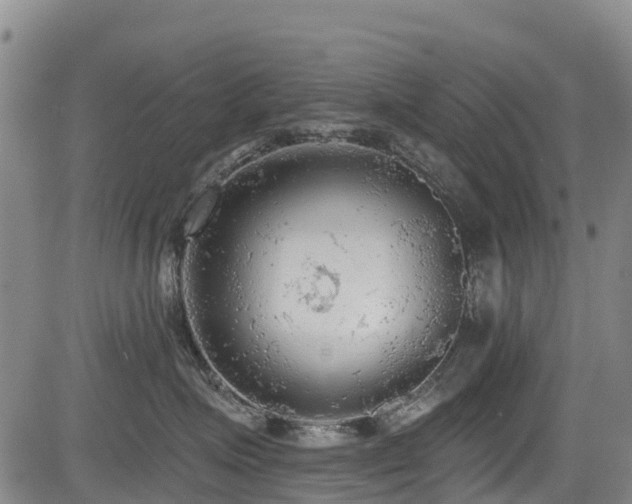 X0000084050623200702161508