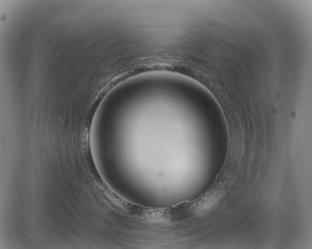 X0000084050624200702161508