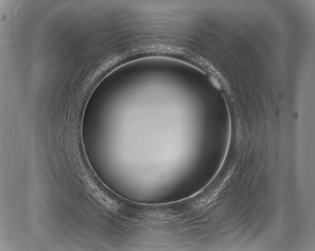 X0000084050625200702161508