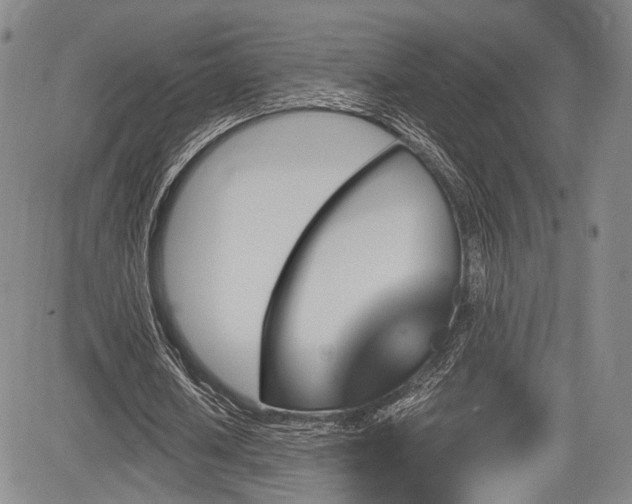 X0000084050626200702161508