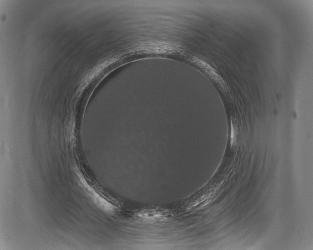 X0000084050627200702161508