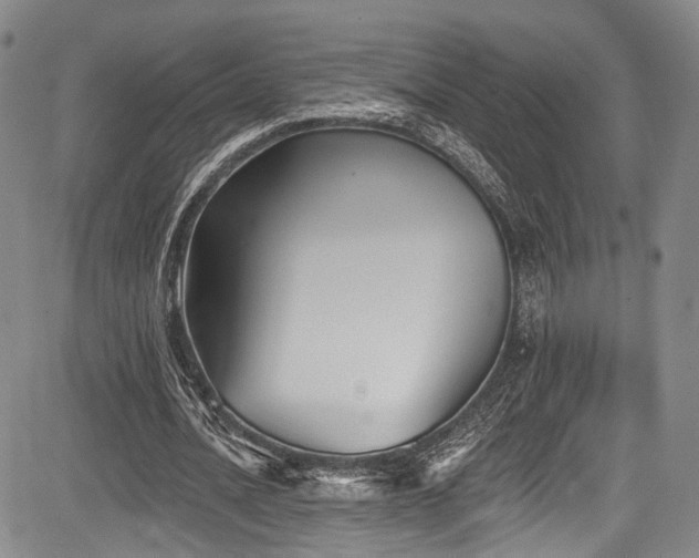 X0000084050628200702161508