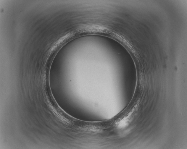 X0000084050629200702161508