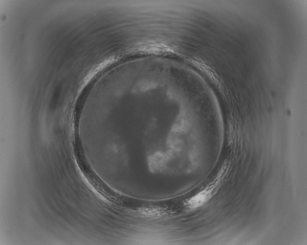 X0000084050630200702161508