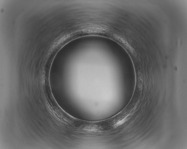 X0000084050631200702161508