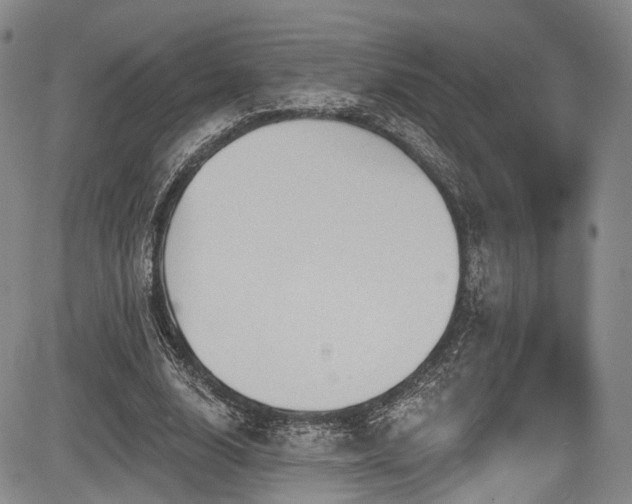 X0000084050632200702161508