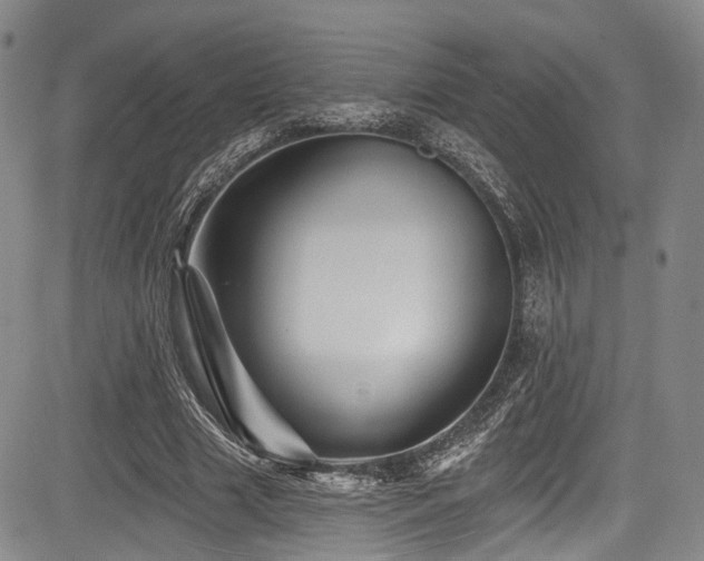 X0000084050633200702161508