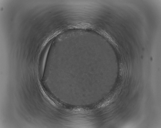 X0000084050634200702161508