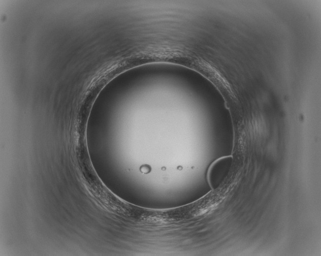 X0000084050635200702161508