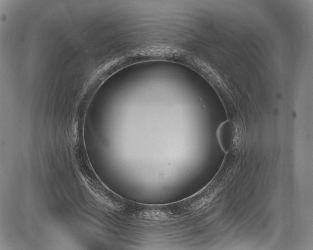 X0000084050636200702161508