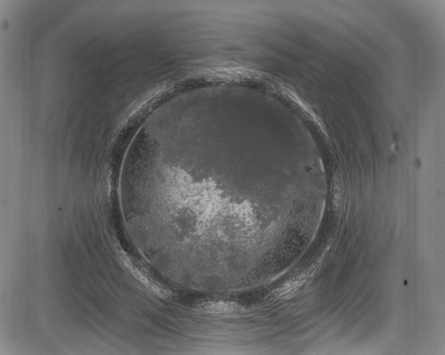 X0000084050637200702161508