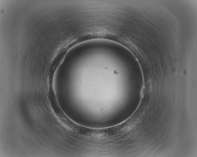 X0000084050638200702161508