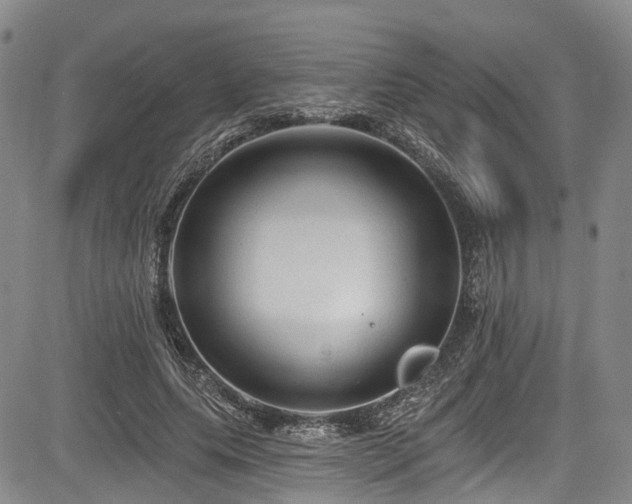 X0000084050639200702161508