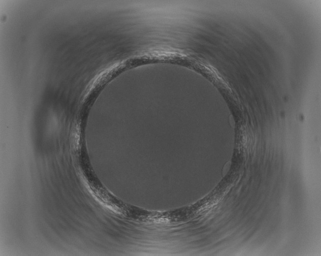 X0000084050640200702161508