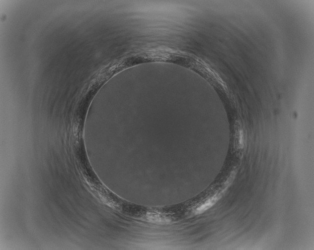 X0000084050641200702161508