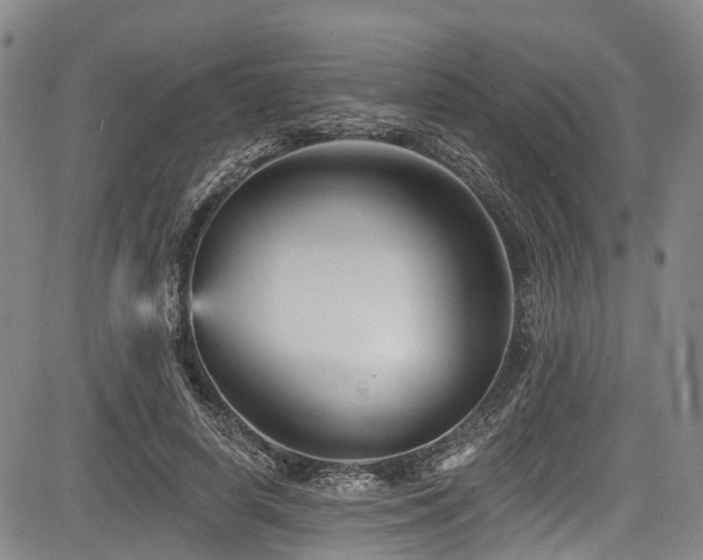 X0000084050642200702161508