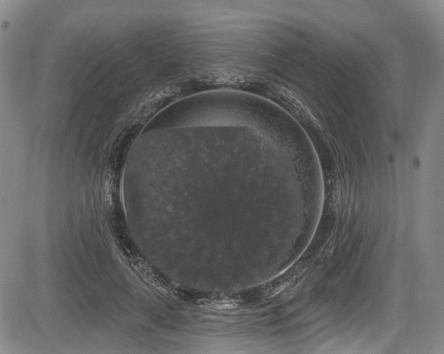 X0000084050643200702161508