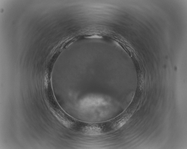 X0000084050644200702161508