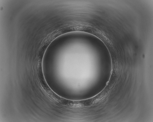 X0000084050645200702161508