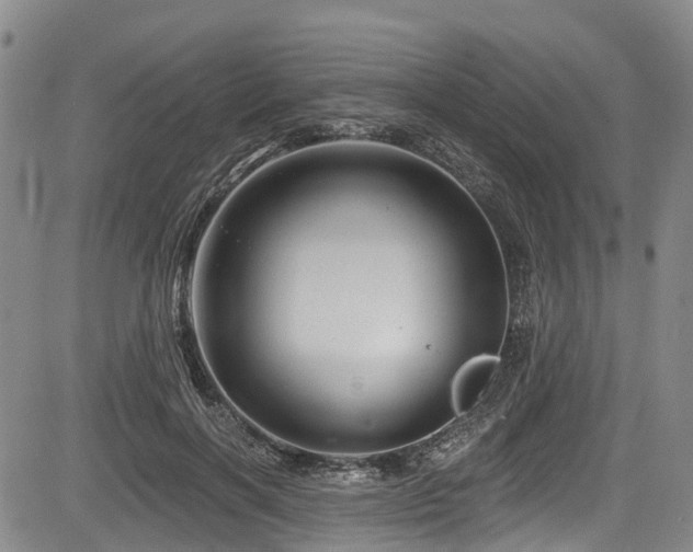 X0000084050646200702161508