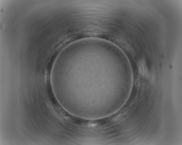 X0000084050647200702161508