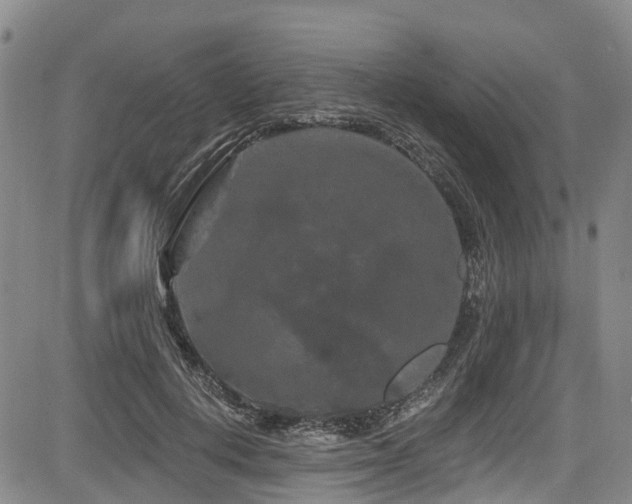 X0000084050648200702161508