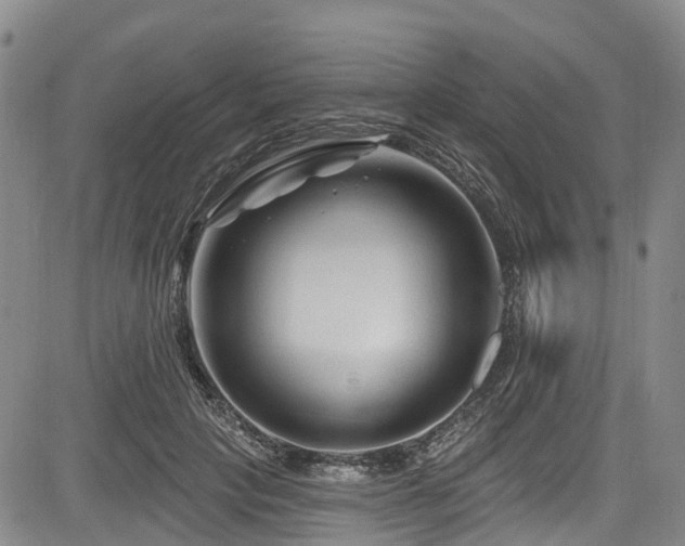 X0000084050649200702161508