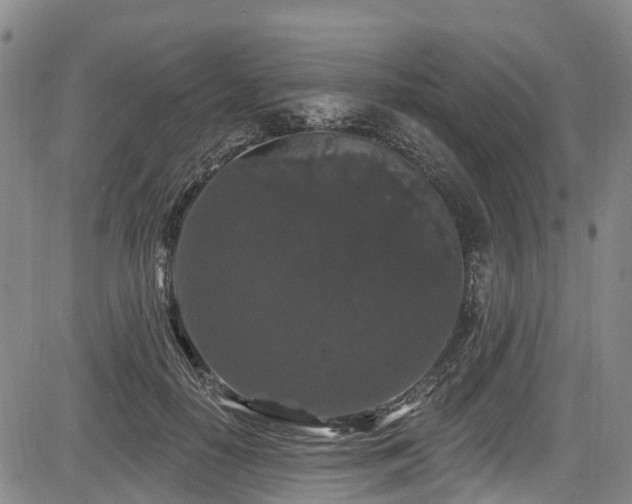 X0000084050650200702161508