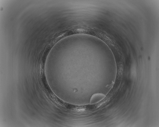 X0000084050651200702161508