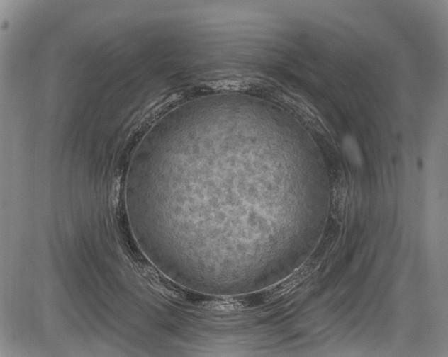 X0000084050652200702161508