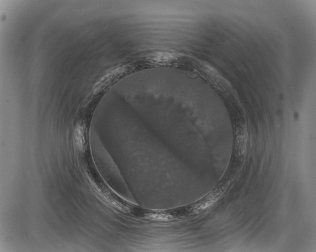 X0000084050654200702161508