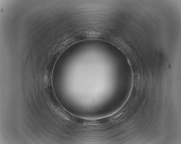 X0000084050655200702161508